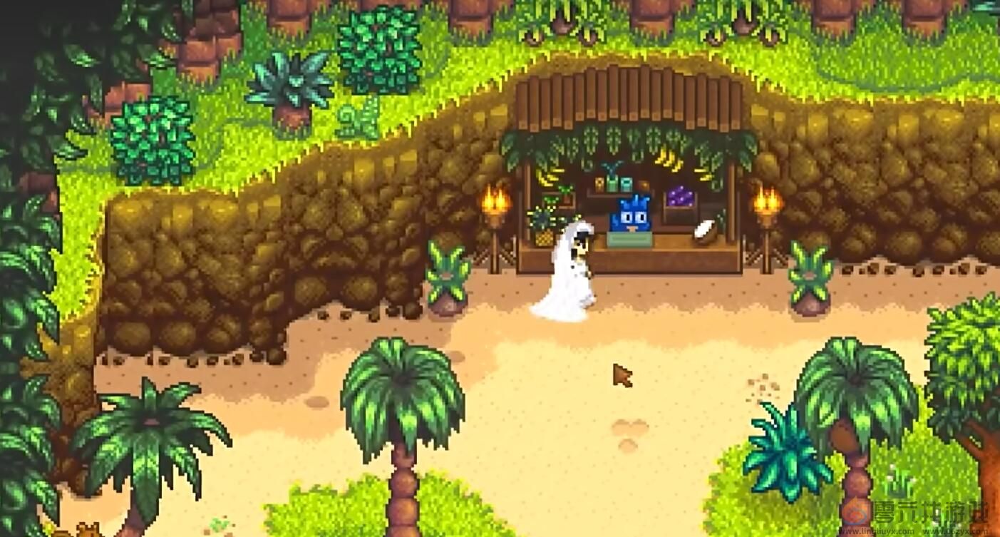 星露谷物语攻略大全(图5) 星露谷物语攻略大全(图5)