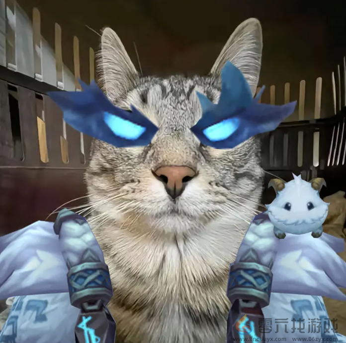 严肃猫表情包大全(图8) 严肃猫表情包大全(图8)