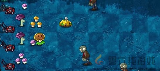 《植物大战僵尸融合版》冒险模式第12关通关攻略(图3)