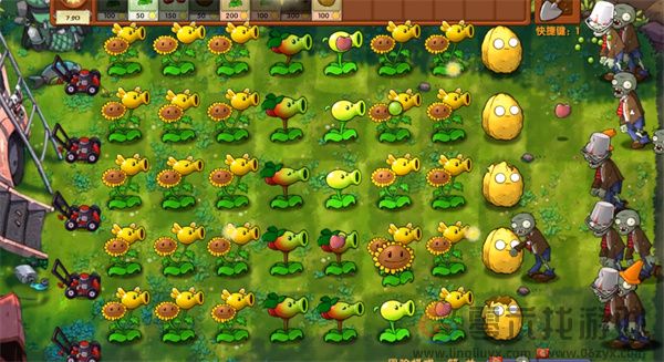 植物大战僵尸融合版冒险模式第3关通关攻略(图5) 植物大战僵尸融合版冒险模式第3关通关攻略(图5)