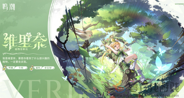 鸣潮椿主c配队推荐(图2) 鸣潮椿主c配队推荐(图2)