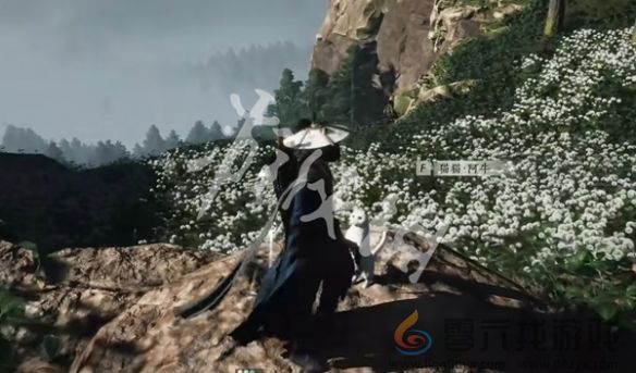 燕云十六声卧星岩猫戏全收集攻略(图4) 燕云十六声卧星岩猫戏全收集攻略(图4)